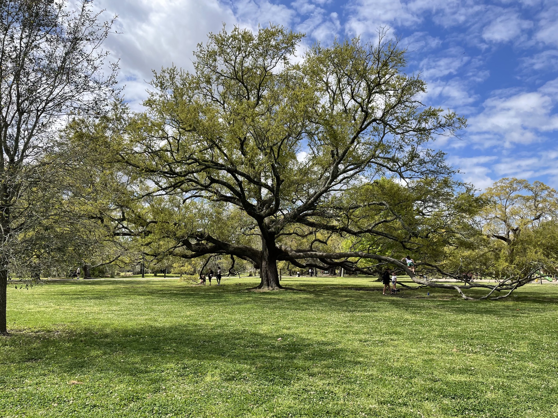 Gentle path representing the journey of therapy